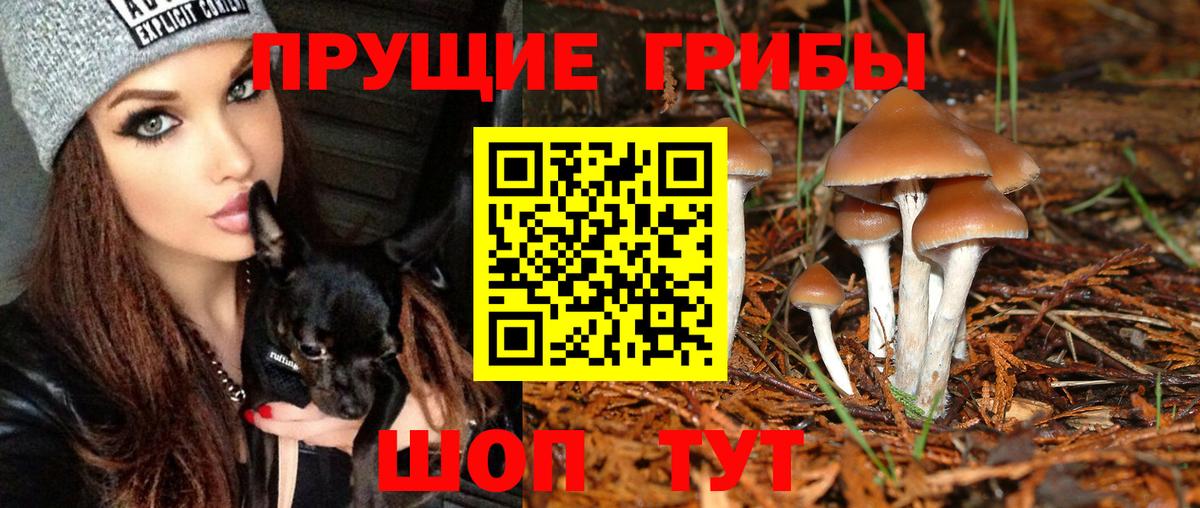 Галлюциногенные грибы Cubensis  Галлюциногенные грибы Psilocybe  Волхов  Вход с VPN 