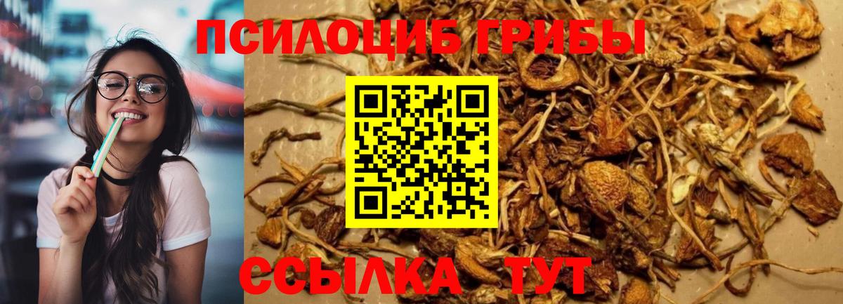 Псилоцибиновые грибы мухоморы Волхов